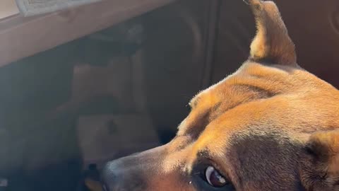 Speedometer on the Fritz