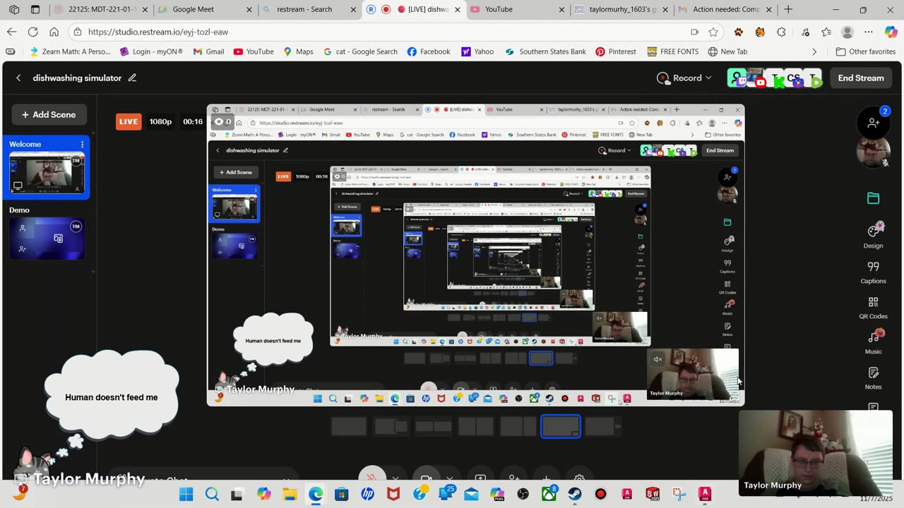 dishwashing simulator