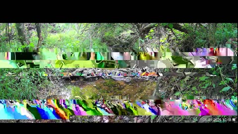 Live Stream