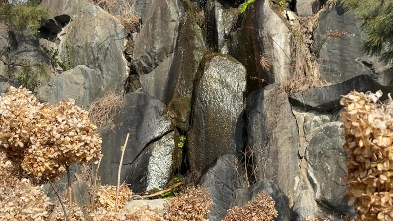 Falls.