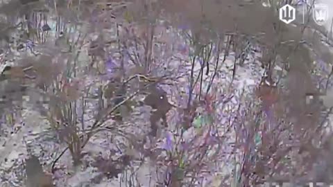 Large Groups of Russian Soldiers Caught Out in the Open