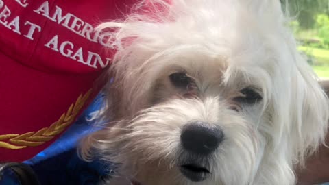 Patriot Loulou news wishing Patriots Happy New Year NOT To deep state freaks like Bill Gates etc