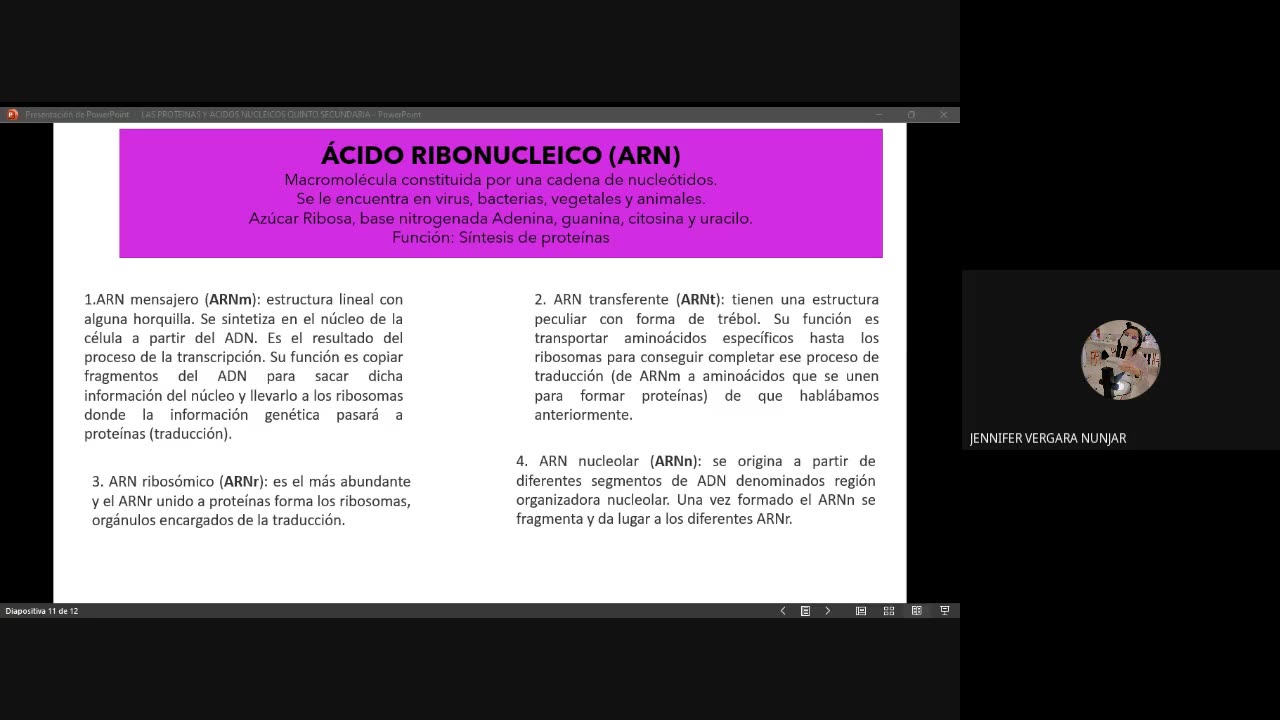 PAMER SEMESTRAL 2023 | Semana 02 | Biología: Proteínas
