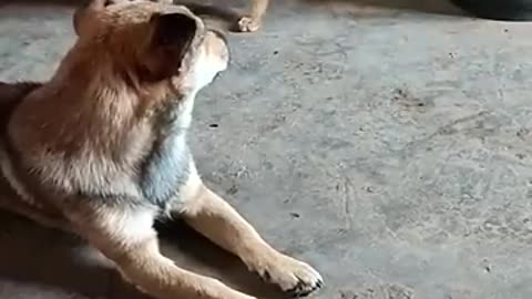 come on lets play