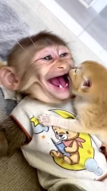 Kitten Lovingly Licks Baby Monkey – Cutest Friendship Ever! 🐱🐵💖