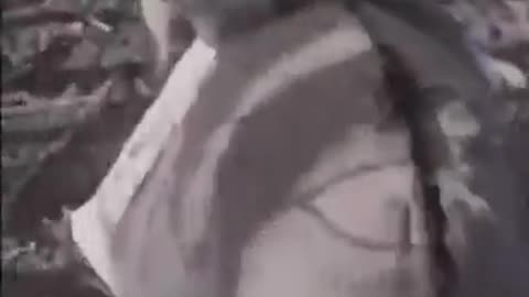 Putin Fighting Til the Last Donkey