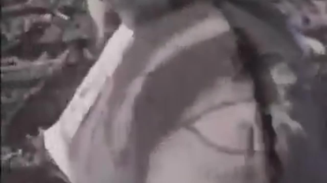 Putin Fighting Til the Last Donkey