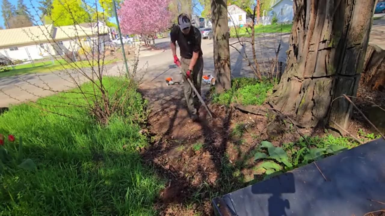 I Felt Like An ARCHEOLOGIST Digging Up This BURIED Sidewalk (Neighbors SHOCKED)_part3