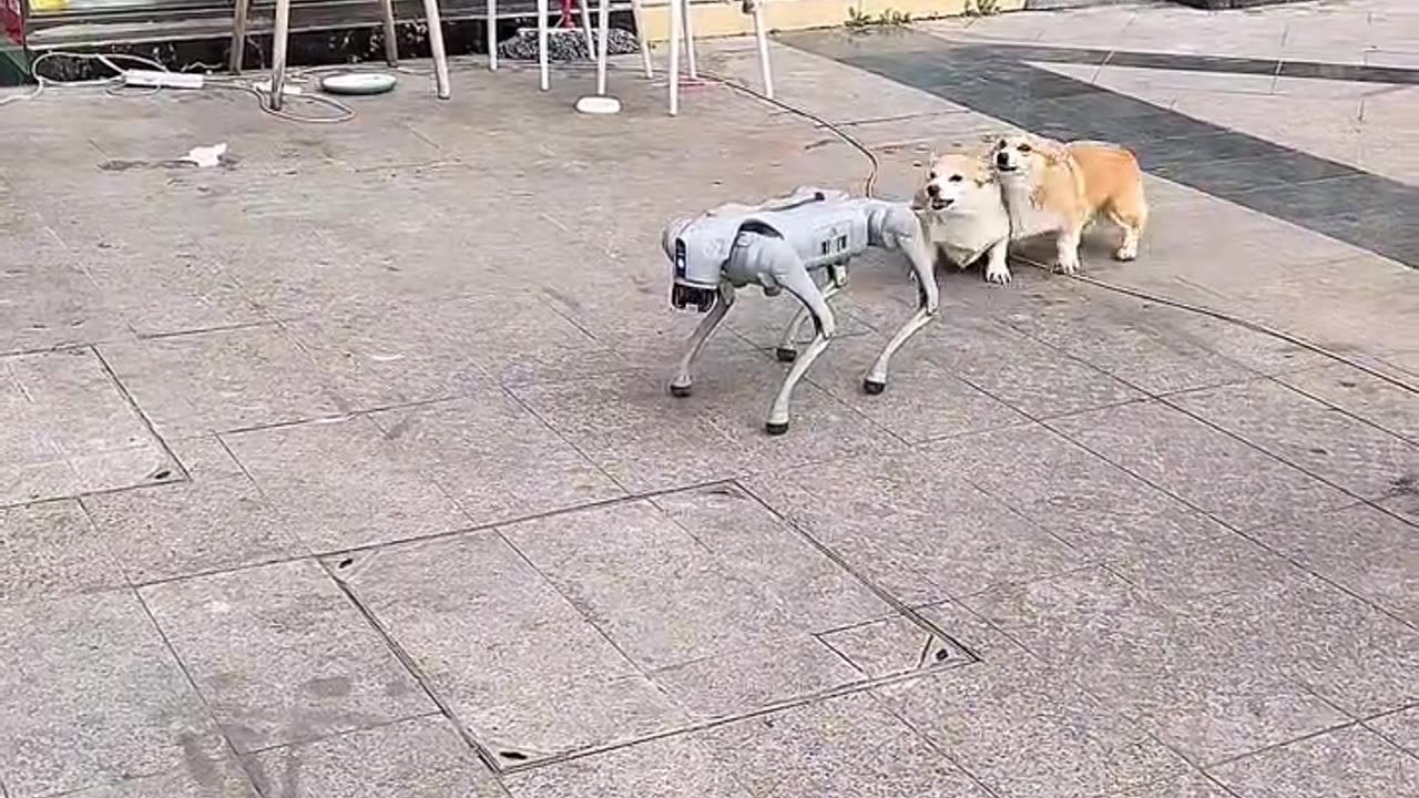 🐶 Dogs Barking at 🤖 AI Robot Dog! So Funny! #shorts