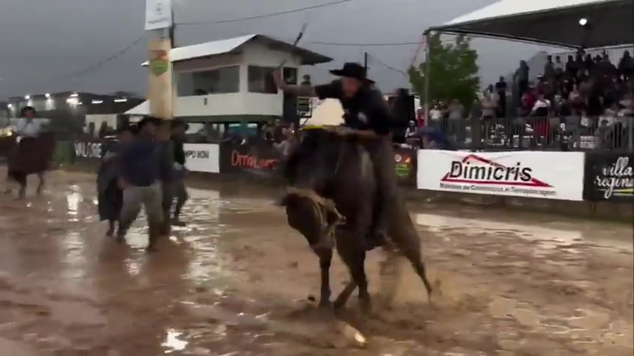 The horse, in an unforeseen act of force, impacts the rider with the forcefulness of a blow.