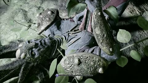 God of War _ Dark Elf King Boss Fight