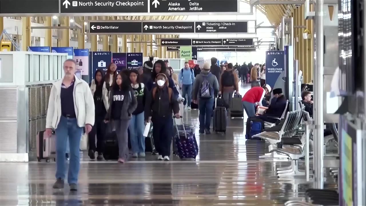 Trump orders air traffic controllers back amid flight chaos