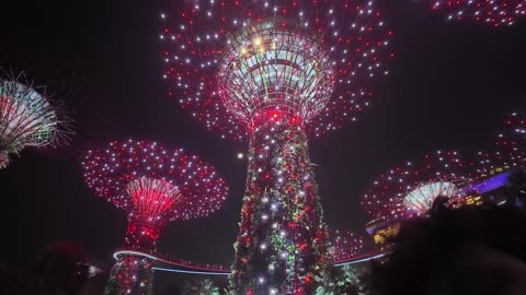 Singapore Celebrates 60th Anniversary I Gardens by the Bay Supertree Grove