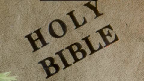 Journey of faith and spiritual growth Psalms 4:8 Daily Bible Verse