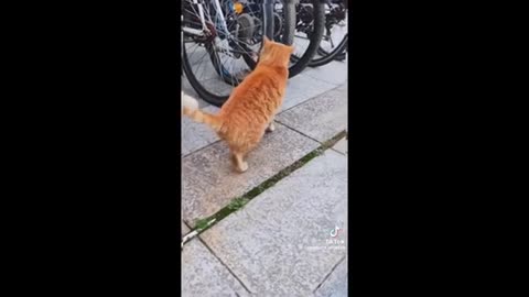 Need a laugh here and there ;)