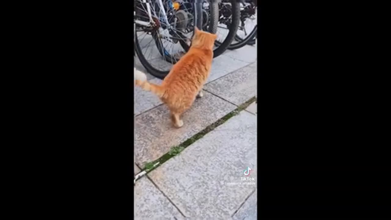 Need a laugh here and there ;)