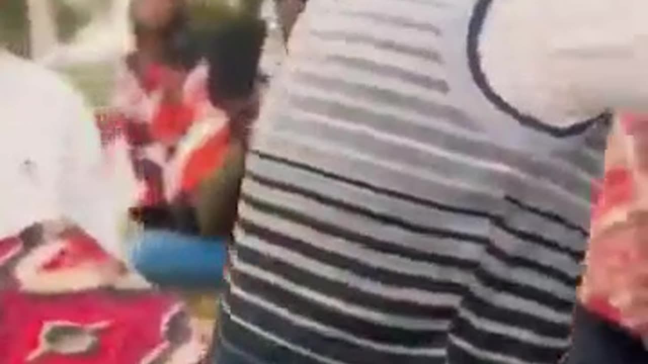 Ashish Comedyblank Colletion