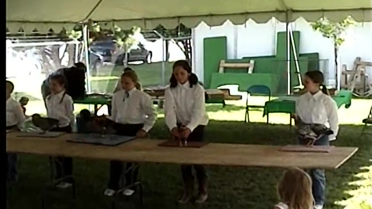 Cats & 4H