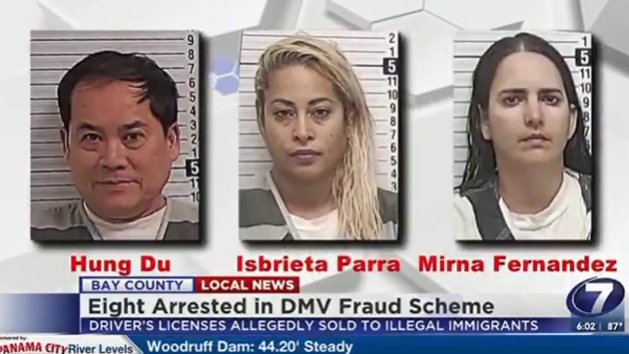 8 Arrested for Issuing Fraudulent Driver's Licenses to Illegals - Huge Profitable Network