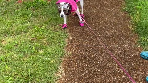 Princess in raincoat and booties
