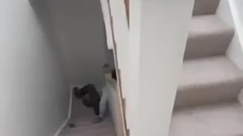 🤦‍♂️😂 ESTATE AGENT FALLS ON THEIR FACE! | FunFM
