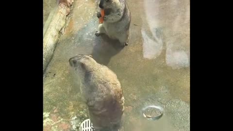 Emotional and detailed