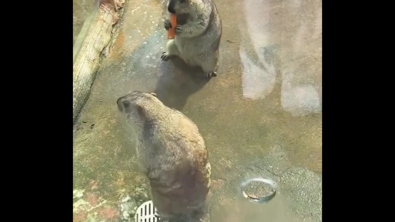 Emotional and detailed