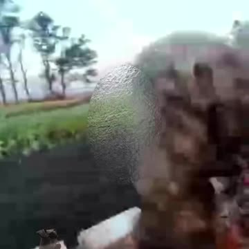 🇷🇺 Russian soldiers hurry from and to the front … crashes happen. Ouch