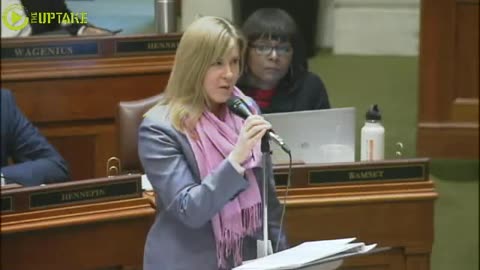 Flashback: House Minority Leader Melissa Hortman: No Apology For "White Male" Comment By MN Dem House Leader - Apr 3, 2017