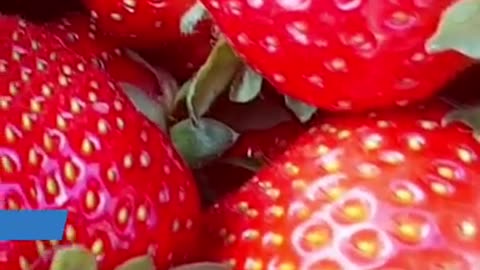Eat Strawberry Daily & See the Magic