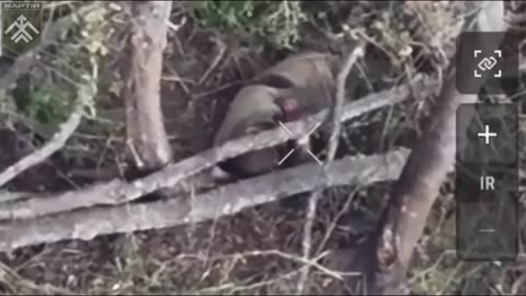 Wounded Russian Soldiers Does the Unthinkable After Being Confronted by Ukrainian Drone