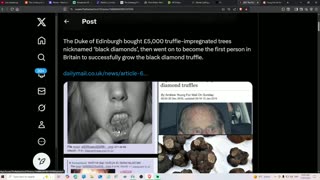 Trump, Epstein & More. Important News
