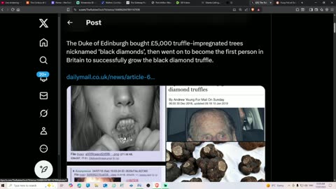 Trump, Epstein & More. Important News