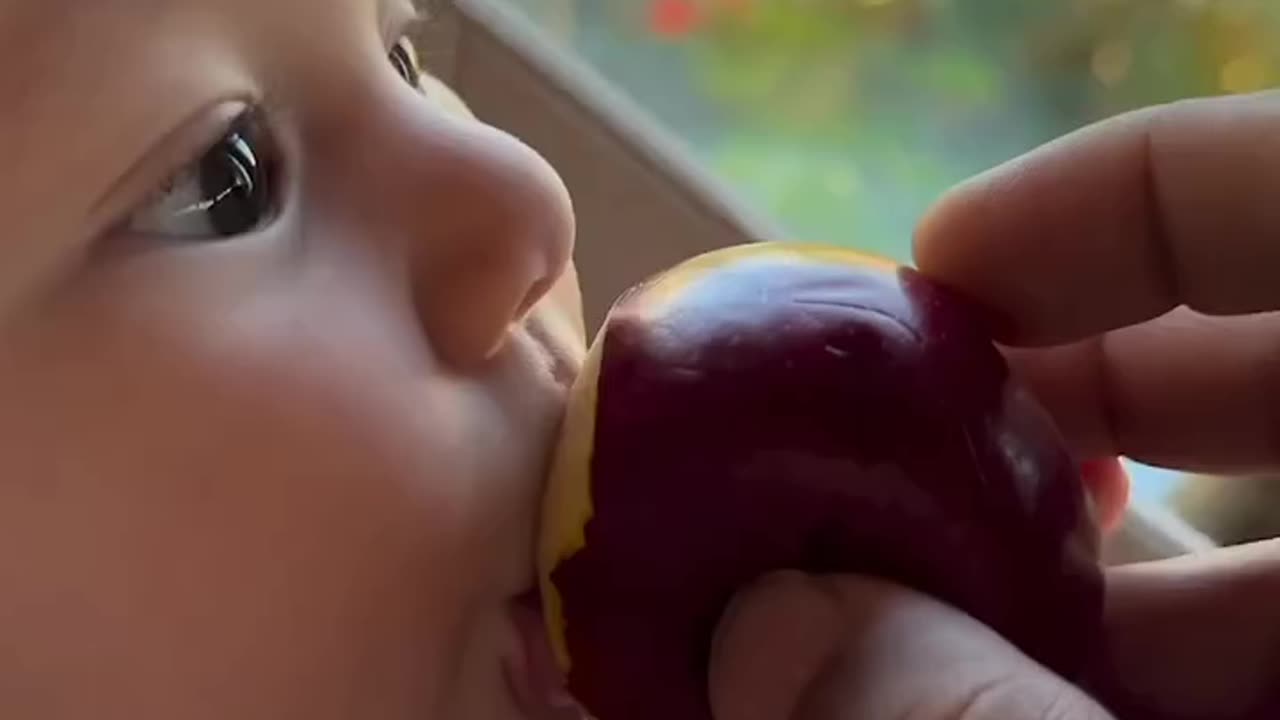 cute baby test sweet fruit