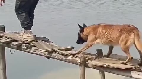Full Funny Laughing Video 😂😂😂