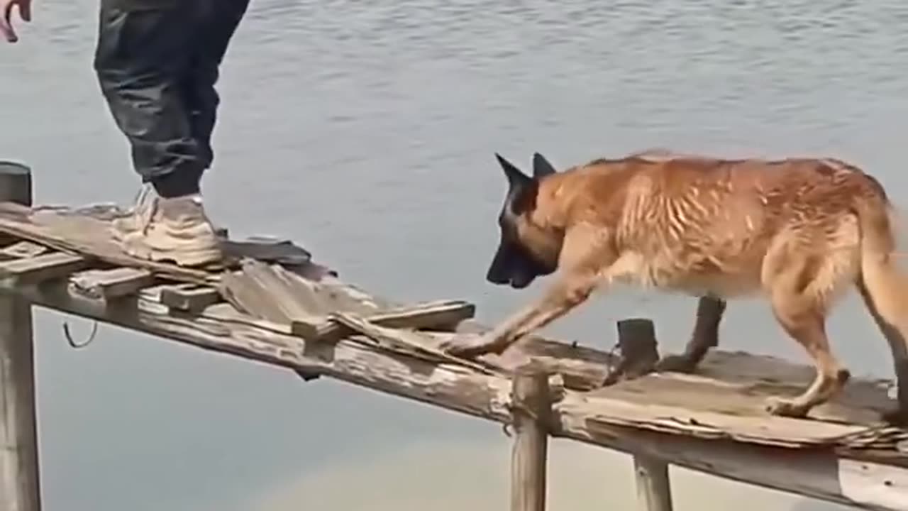 Full Funny Laughing Video 😂😂😂