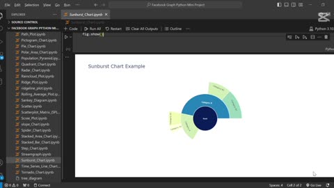 🌞 Create Sunburst Chart Using Python