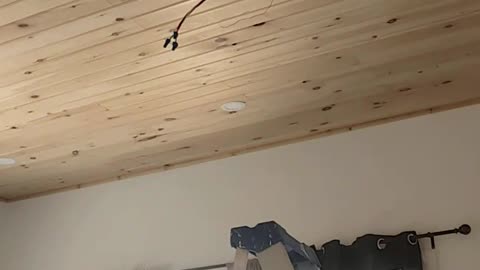 At The Mini Home