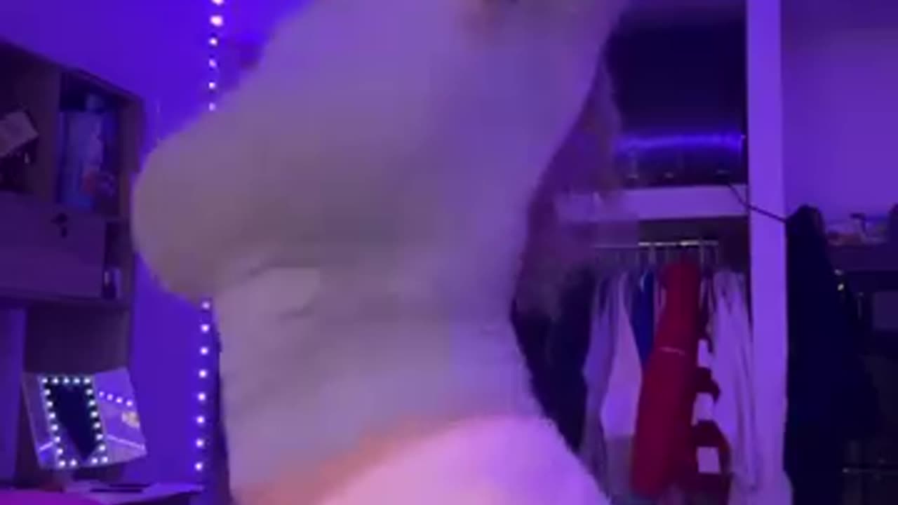 TikTok Thot Compilation ¦ Best Bops 2025 ✨