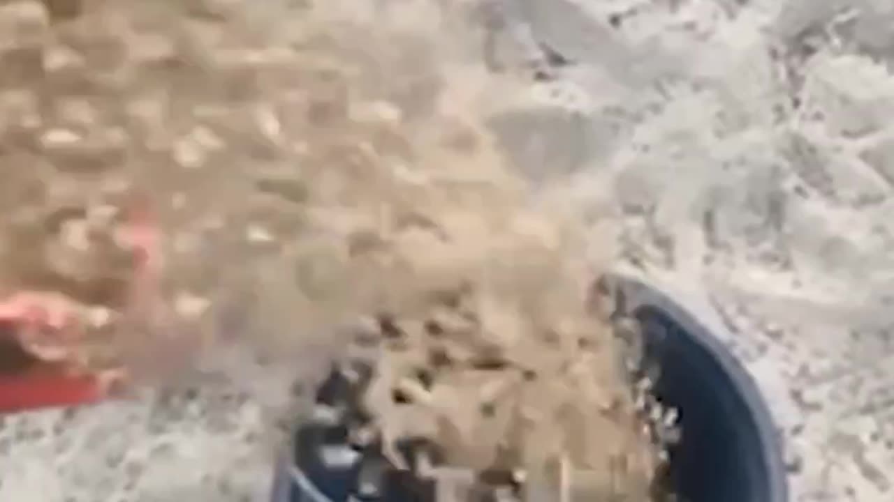 Countdown to Chaos: The 5 Funniest Fails #fails #funny #top5fails #funnymoments