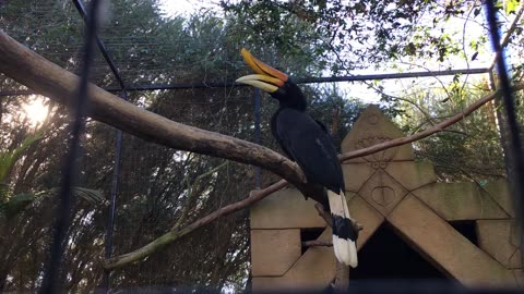 Lagos Zoo (Algarve, Portugal) 18