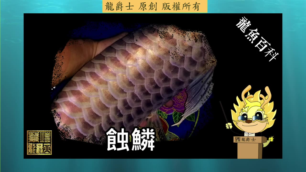 【龍爵士】千問千答 Q197 輕微蝕鱗用維他命有用嗎