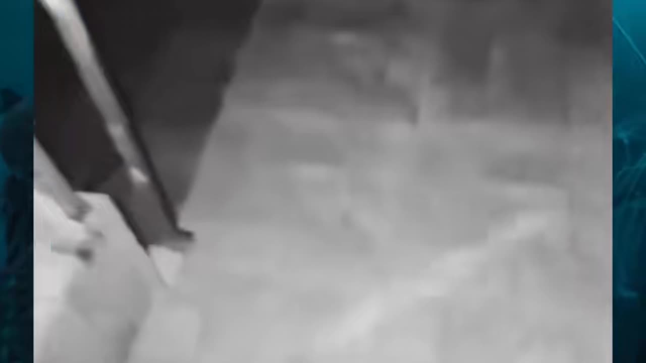 🤫👹 What Is That? Terrifying Unknown Creature Caught! | TheHauntingHour