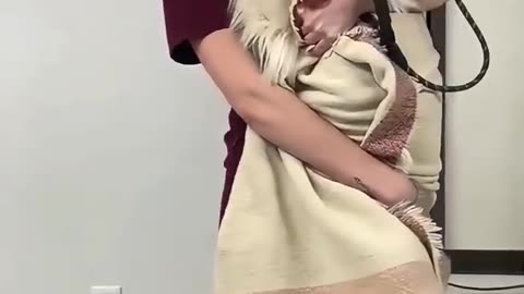 when pets face with doc