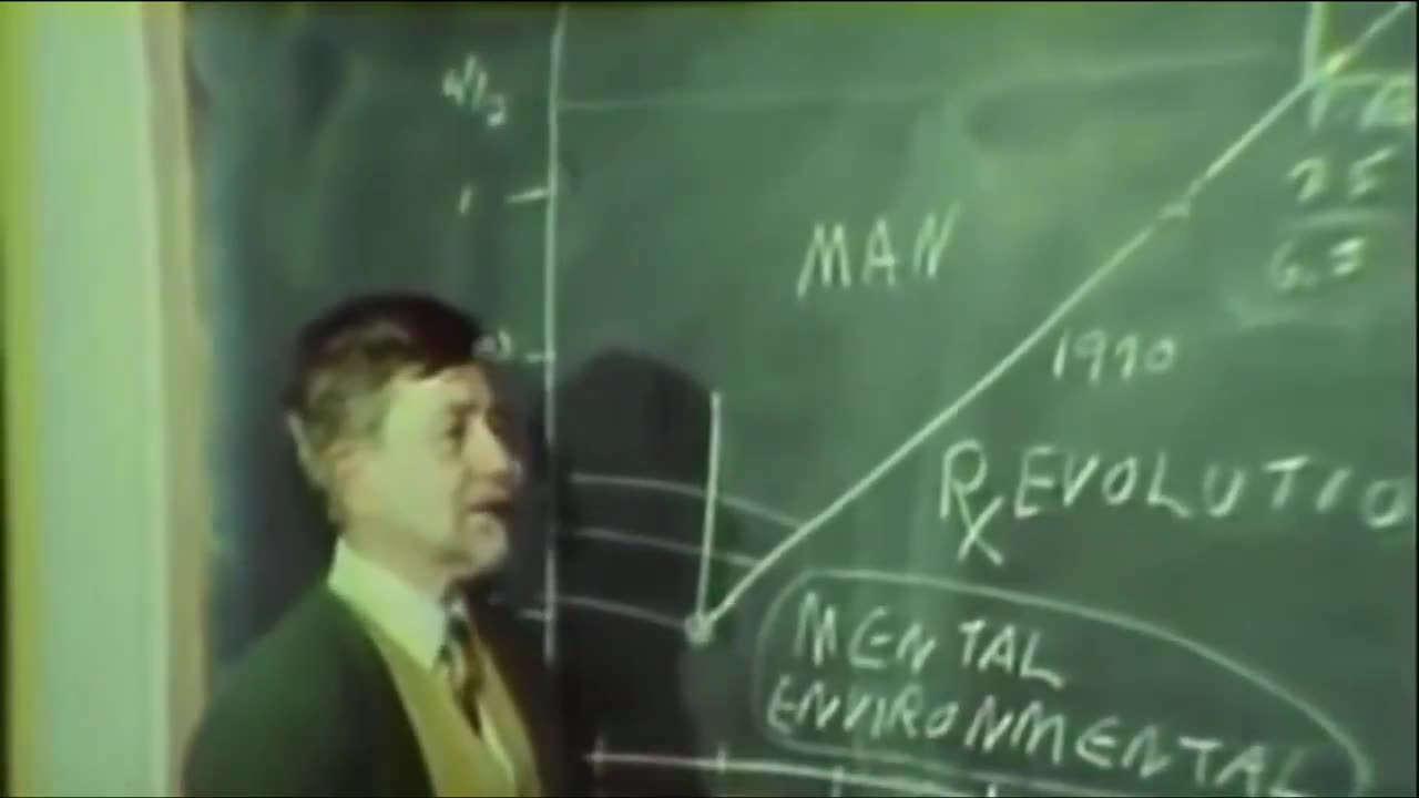 THE BEAUTIFUL MICE ARE ALREADY HERE 2