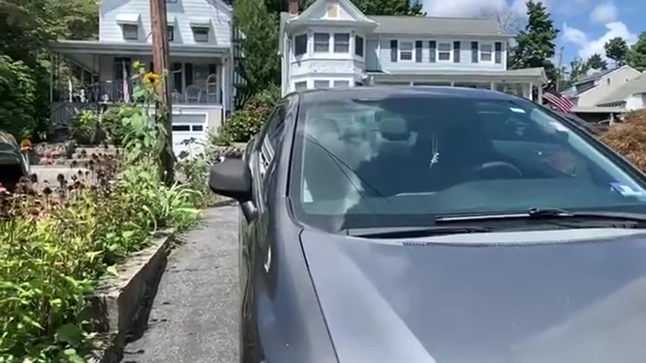 Filling Joints With Polymeric Sand _ Weed And Grass Removal (1).mp4