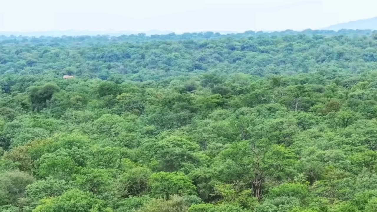 Epic Adventure Travel_ Death-Defying Moments Around the World!.mp4