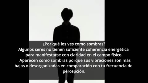 Los Centinelas y los Guardianes. ¿Qué son los seres sombras?