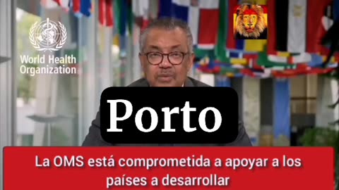 OMS responsabiliza a agropecuária pelas alterações climáticas