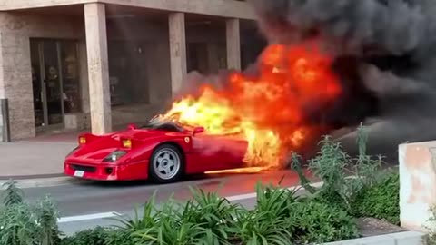 🤯🚀 A Dreamy Showcase of Oman’s Luxury Cars! | LuxurySportsCars